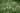bloody cranesbill, cranesbill, cranesbill geranium, flora, flower, flowering, Geraniaceae, Geranium, Geranium sanguineum var. striatum, horizontal, perennial, pink, plant, plant part, species, summer, summerly