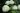 sneeuwbal-hortensia-annabelle.jpg